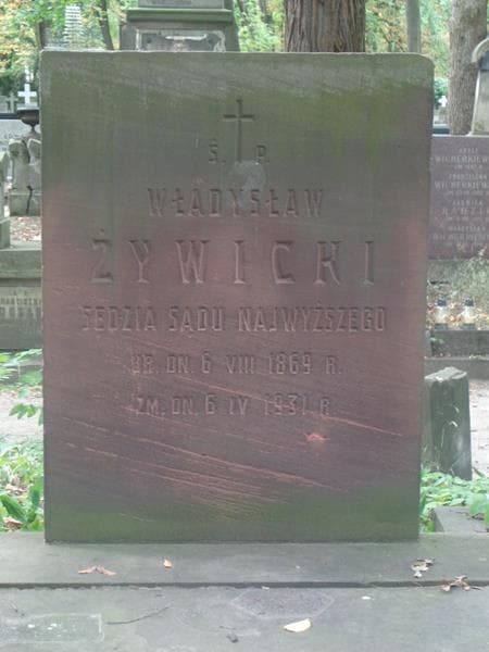 Zdjęcie grobu Władysław Żywicki (2)