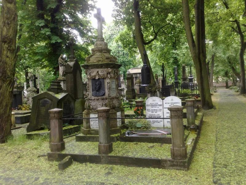 Zdjęcie grobu Juliusz Leski (1)