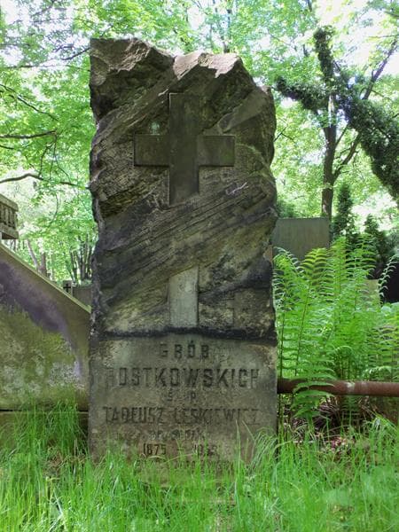 Zdjęcie grobu Rostkowscy (2)