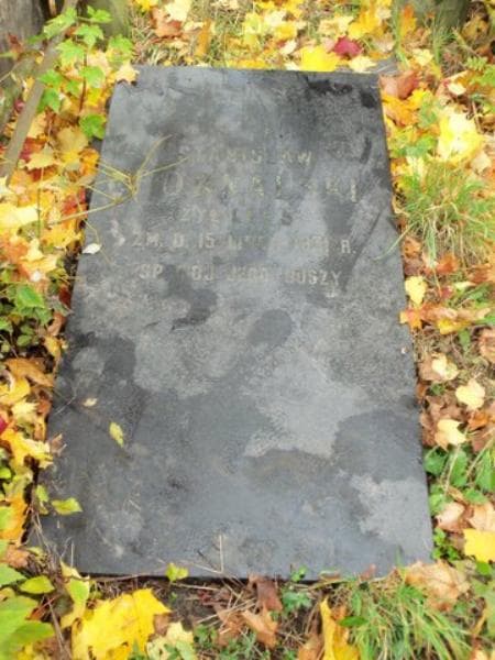 Zdjęcie grobu Stanisław Fornalski (1)