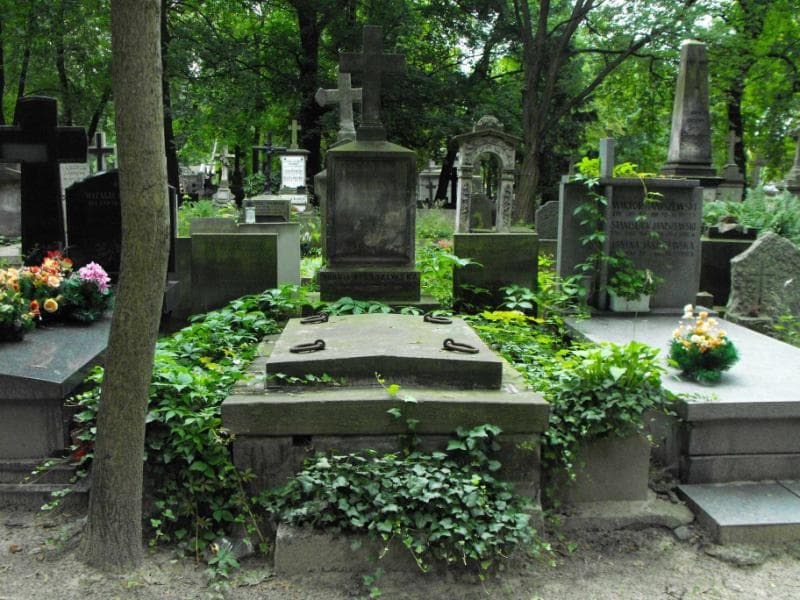 Zdjęcie grobu: Józefat Strycharzewski