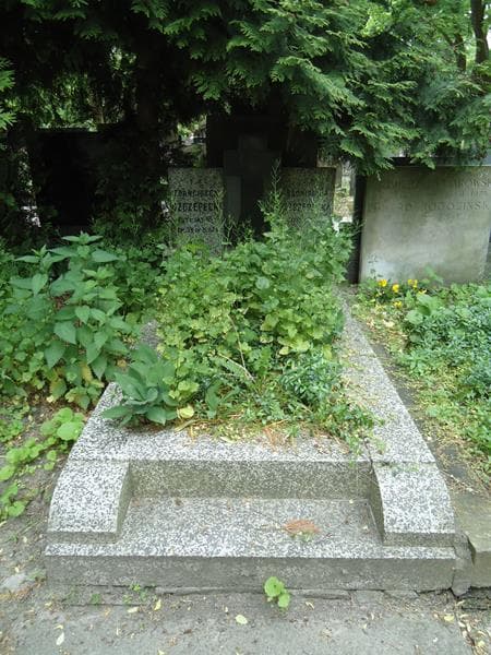 Zdjęcie grobu: Bronisława Szczepecka
