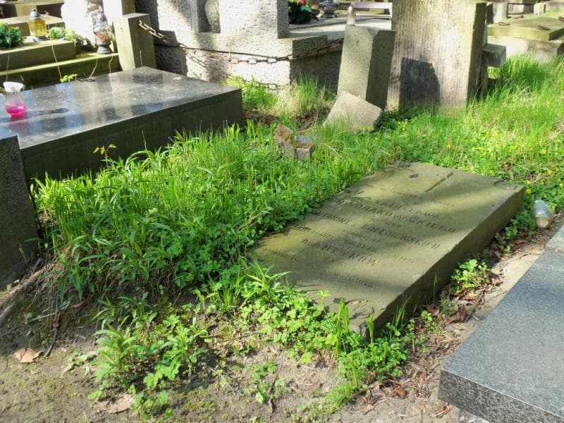 Zdjęcie grobu Marcyanna Martynów (1)