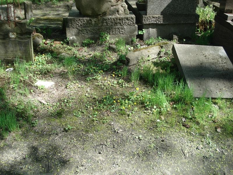 Zdjęcie grobu: Pole Grobowe