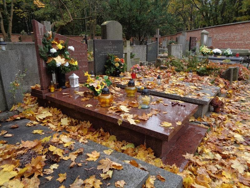 Zdjęcie grobu: Jerzy Maciałowicz