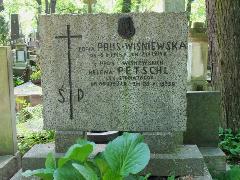 Zdjęcie grobu Teodor Polkowski (2)
