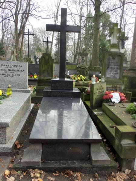 Zdjęcie grobu: Stanisław Odrowąż - Sypniewski