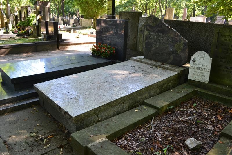 Zdjęcie grobu: Rościsław Antoni Niewiarowski