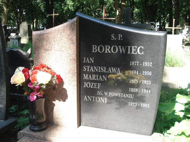 Zdjęcie grobu Antoni Borowiec (1)