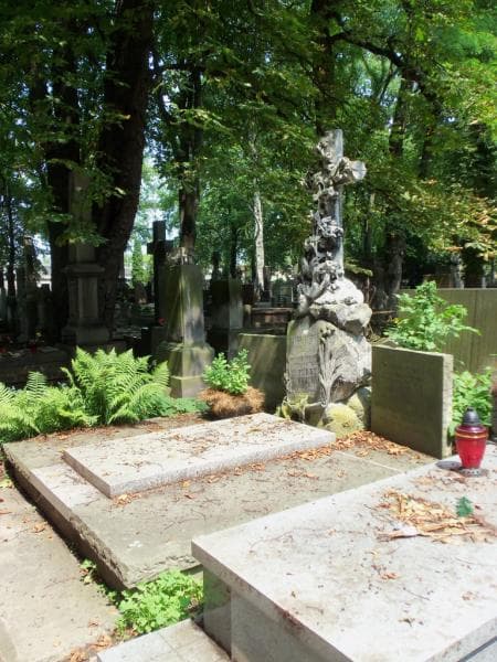 Zdjęcie grobu Maria Jaraczewska (1)