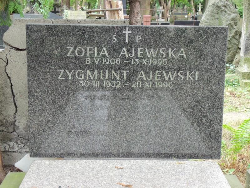 Zdjęcie grobu Zygmunt Ajewski (2)