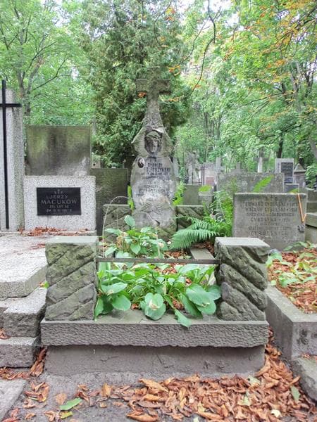 Zdjęcie grobu: Romuald Folfoszyński