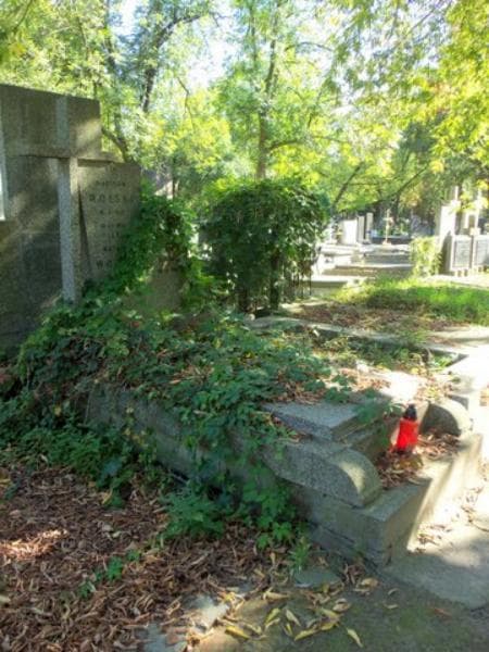 Zdjęcie grobu Andrzej Wolski (1)