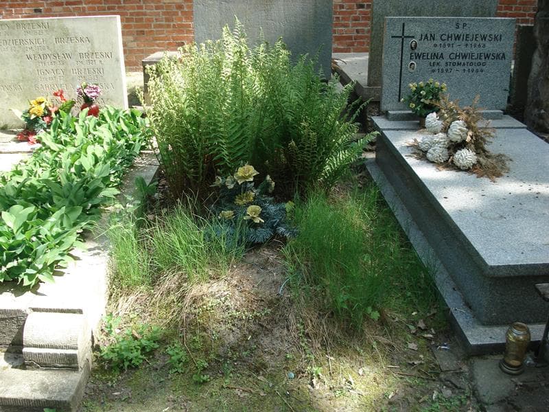 Zdjęcie grobu: Anonim