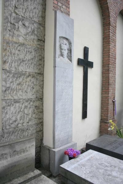 Zdjęcie grobu Elżbieta Barszczewska-Wyrzykowska (5)