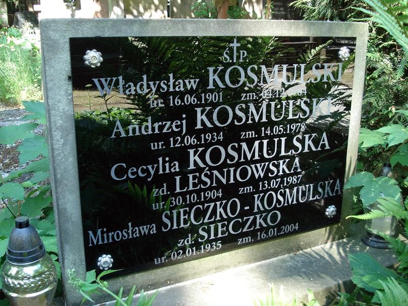 Zdjęcie grobu Mirosława Sieczko - Kosmulska (1)