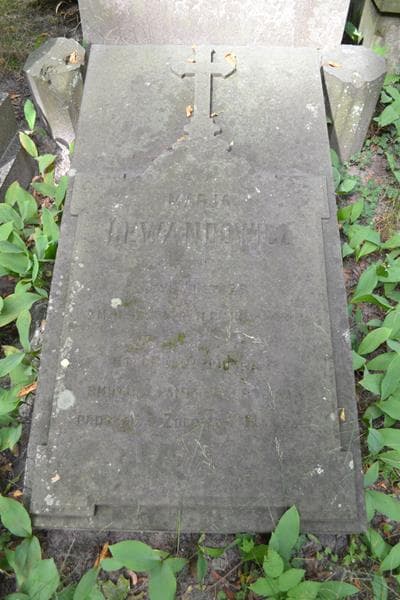 Zdjęcie grobu Marja Lewandowicz (2)