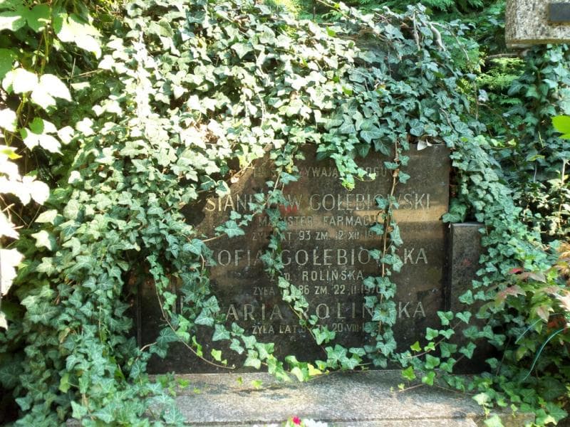 Zdjęcie grobu Stanisław Gołębiowski (2)