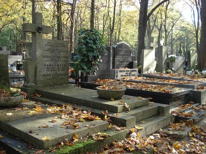 Zdjęcie grobu Wacław Pawłowski (1)