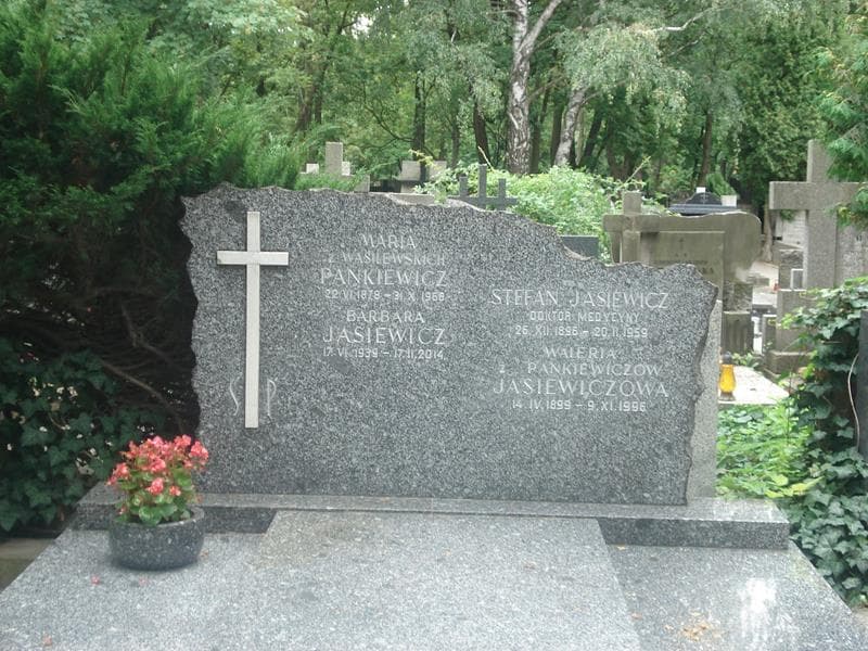 Zdjęcie grobu Stefan Jasiewicz (2)