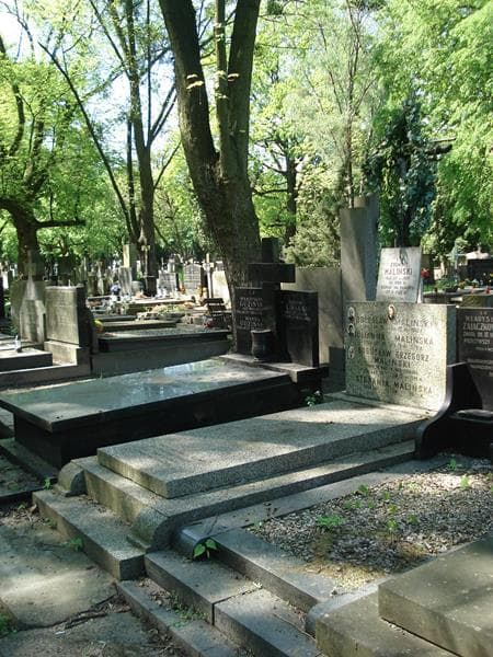Zdjęcie grobu: Bolesław Maliński