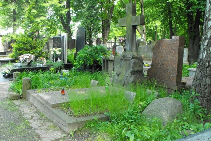 Zdjęcie grobu Stefan Kukier (1)