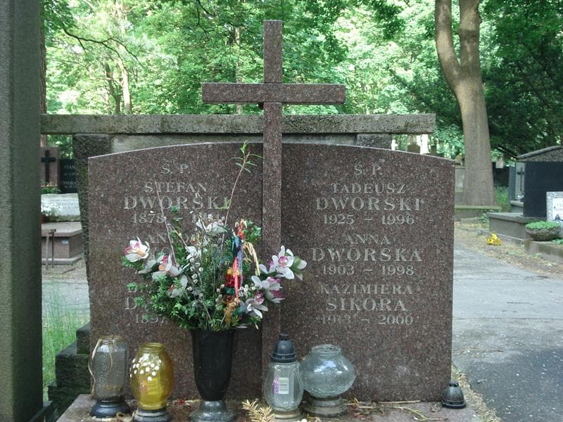 Zdjęcie grobu Anna Dworska (1)