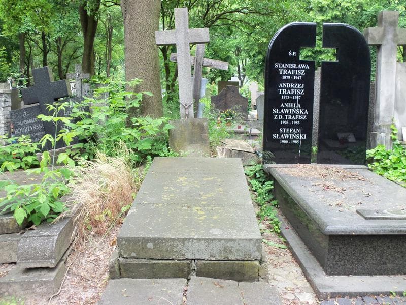 Zdjęcie grobu: Irena Puttkammer-Kleszczyńska