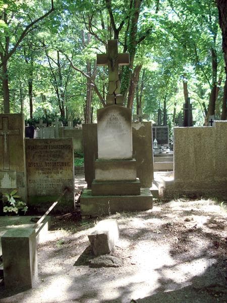 Zdjęcie grobu: Franciszek Krzemiński