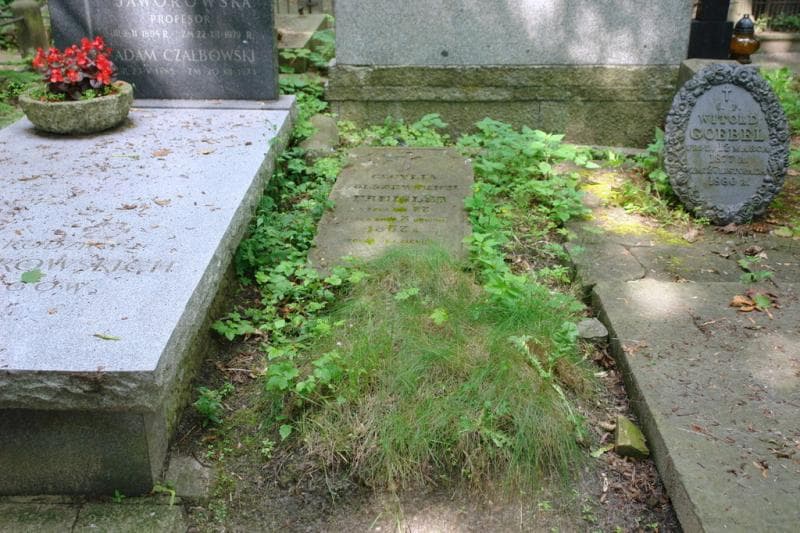 Zdjęcie grobu Cecylia Freisler (1)