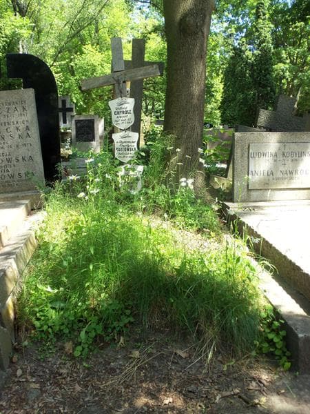 Zdjęcie grobu: Witold Chyrosz