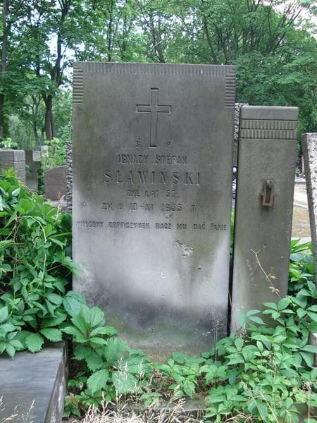 Zdjęcie grobu Ignacy Stefan Sławiński (2)