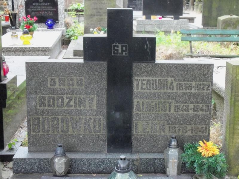 Zdjęcie grobu Teodora Borówko (2)