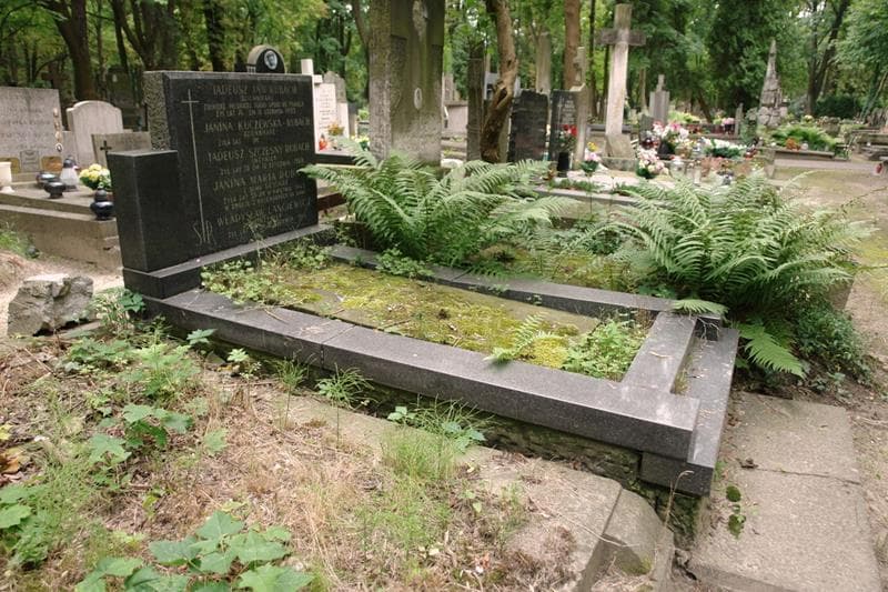 Zdjęcie grobu: Władysław Langiewicz