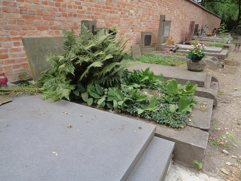 Zdjęcie grobu: Maryjka Kulik