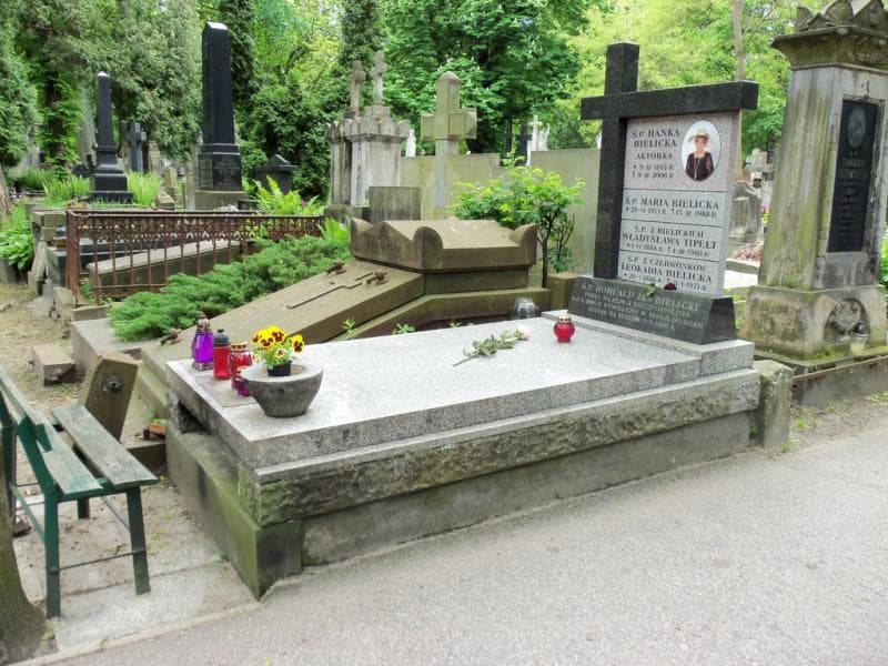Zdjęcie grobu Władysława Tipelt (1)