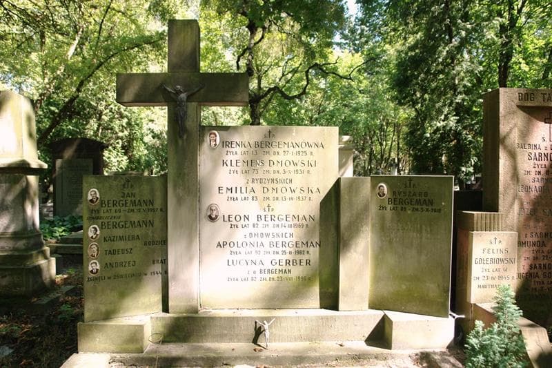 Zdjęcie grobu Klemens Dmowski (2)