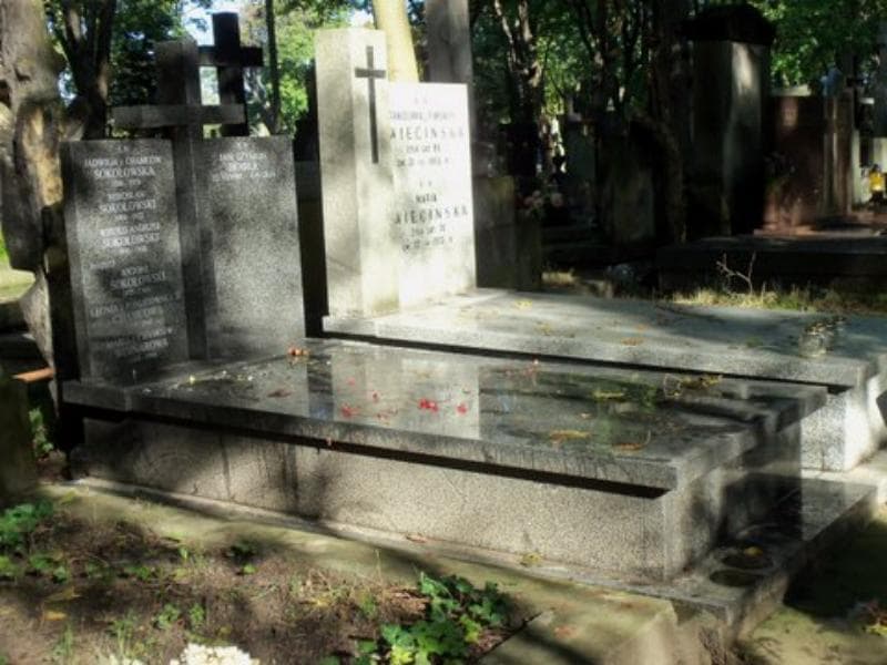 Zdjęcie grobu Leonia Chamcowa (1)