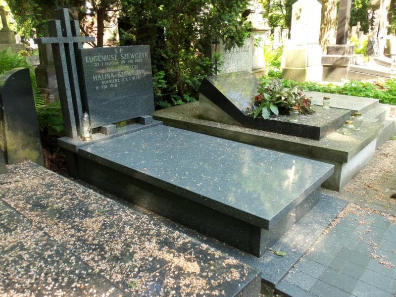 Zdjęcie grobu Eugeniusz Szewczyk (1)