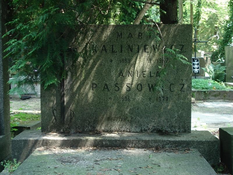 Zdjęcie grobu Aniela Passowicz (2)