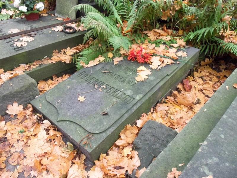 Zdjęcie grobu Stanisław Gołębiowski (2)