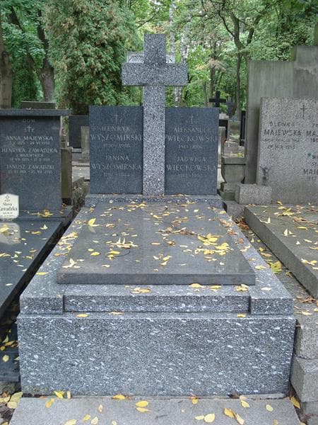 Zdjęcie grobu Henryk Wyszomirski (1)