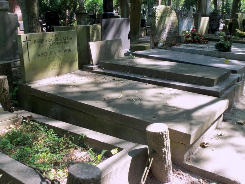 Zdjęcie grobu: Leokadia Krzyszkowska