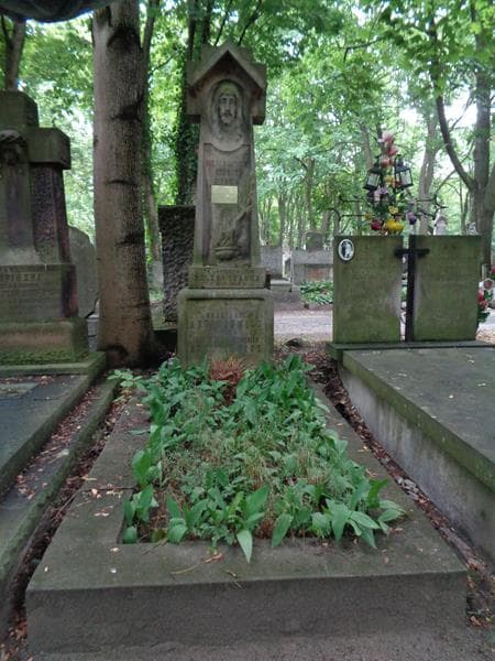 Zdjęcie grobu Konstanty Antoniewicz (1)