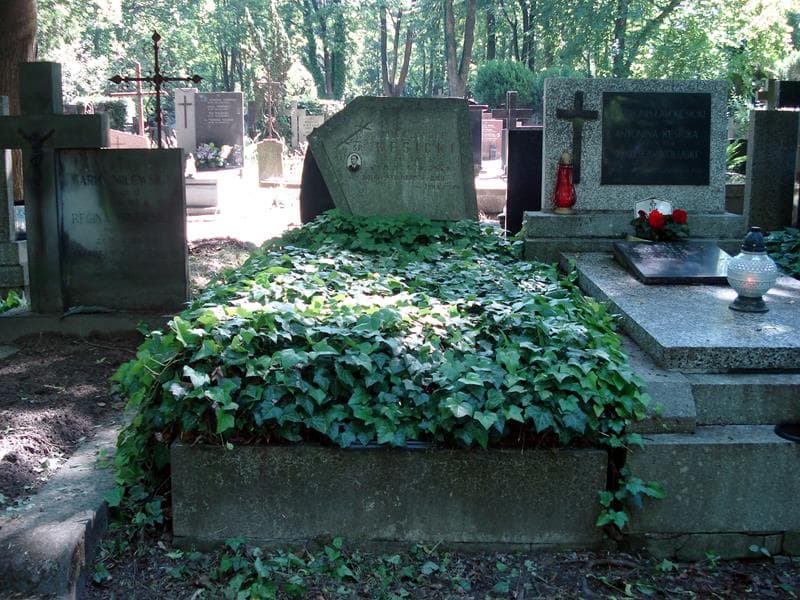 Zdjęcie grobu: Aleksander Kęsicki