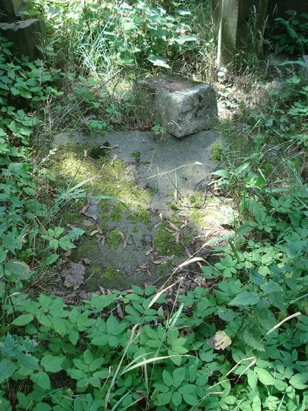 Zdjęcie grobu Adam Zawadzki (1)