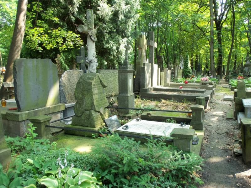 Zdjęcie grobu Ignacy Anderszewski (1)