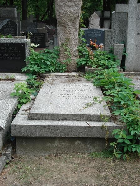 Zdjęcie grobu: Mieczysław Gołębiowski