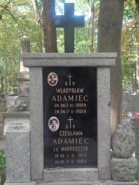Zdjęcie grobu Władysław Adamiec (2)
