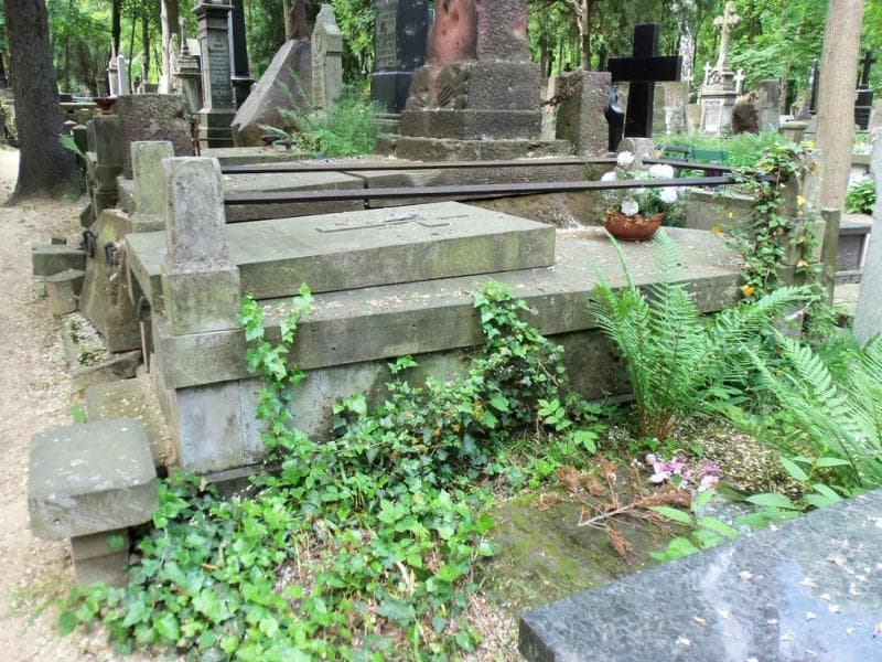 Zdjęcie grobu Feliks Rymowicz (1)